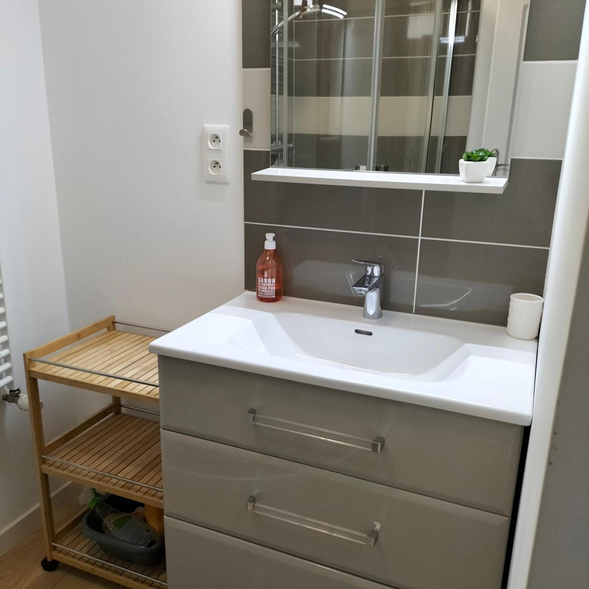 Appartement Salamandre Orléans Eksteriør billede